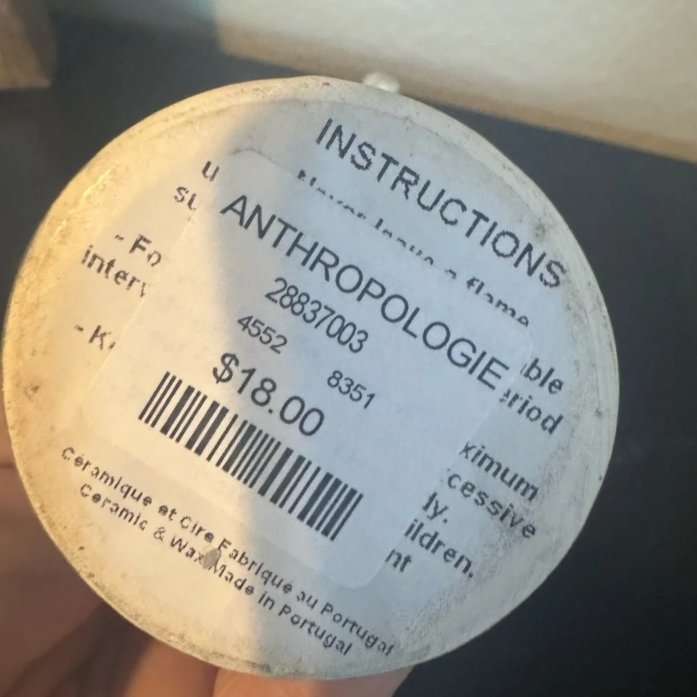 Anthropologie Gray Amphora Vase Accents